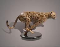 Barry Stein Barry Stein The Cheetah